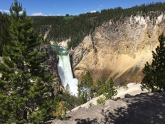 Lower Yellowstone Falls.