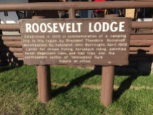 Roosevelt's namesake